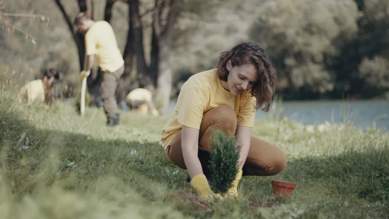 Best Lawn Watering Services  in Moriarty, NM