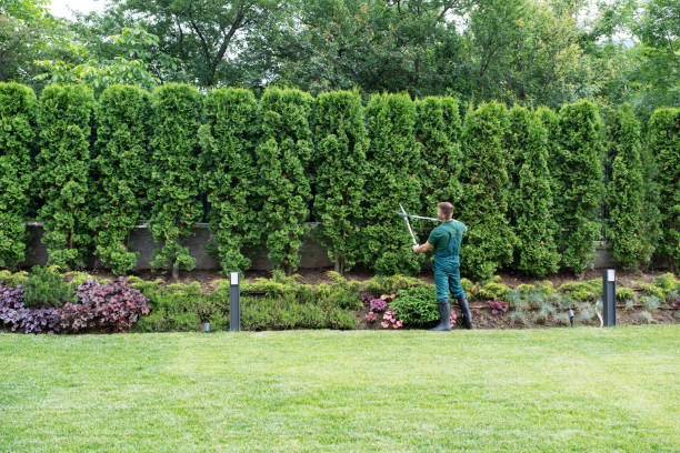 Best Tree Preservation Services  in Moriarty, NM